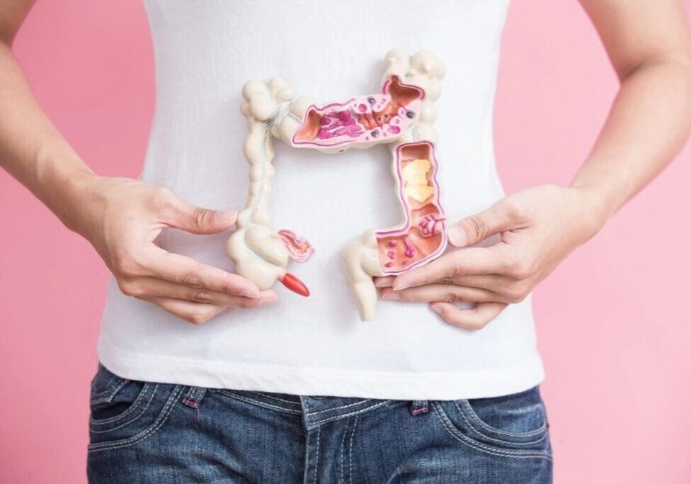 Hands holding a model of a colon with flowers inside against a white shirt.